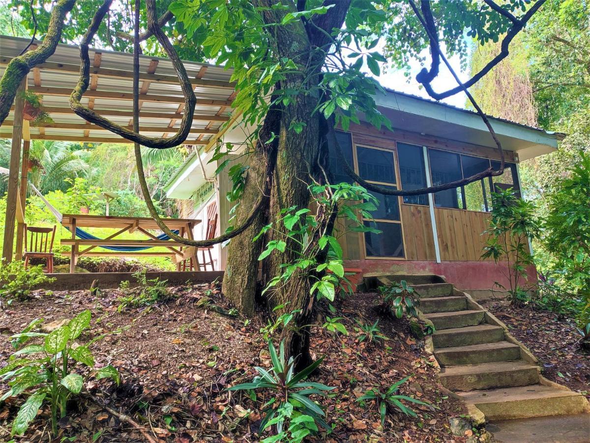 Maya Mountain Lodge San Ignacio Extérieur photo