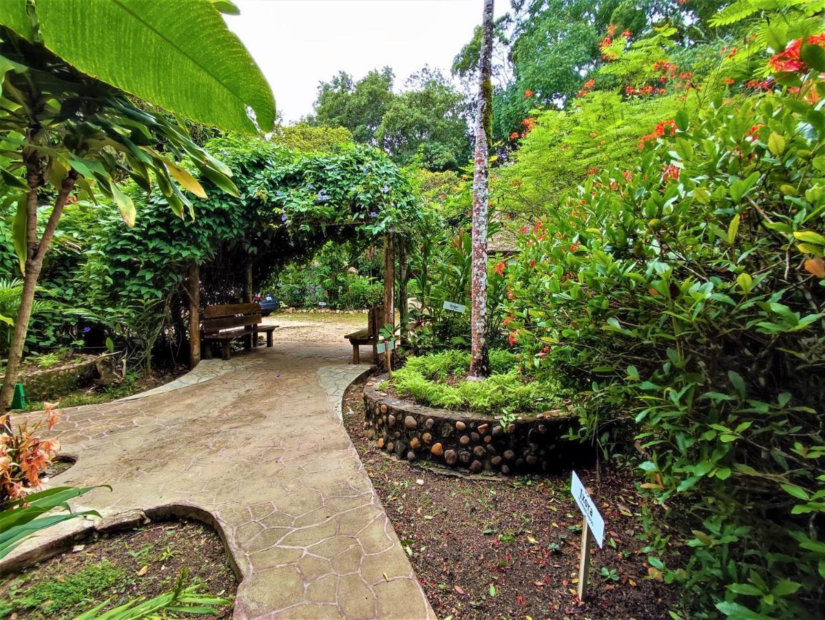 Maya Mountain Lodge San Ignacio Extérieur photo
